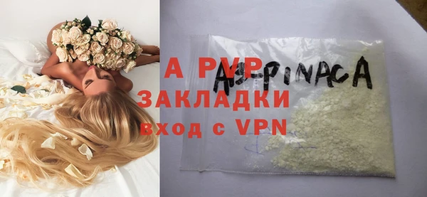 стаф Абинск