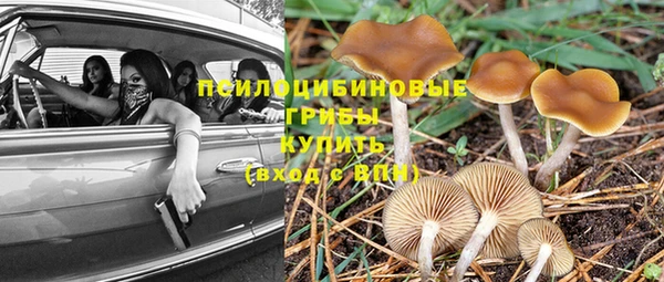 стаф Абинск