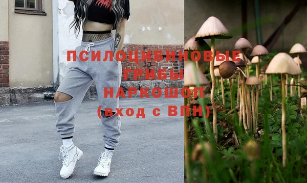 Альфа ПВП Алексеевка