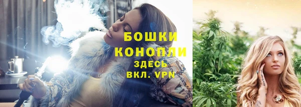 сатива Абаза
