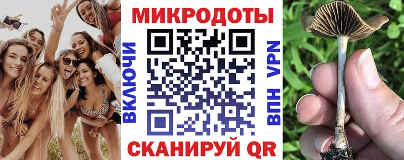 Галлюциногенные грибы мицелий ОМГ ОМГ ONION Шлиссельбург